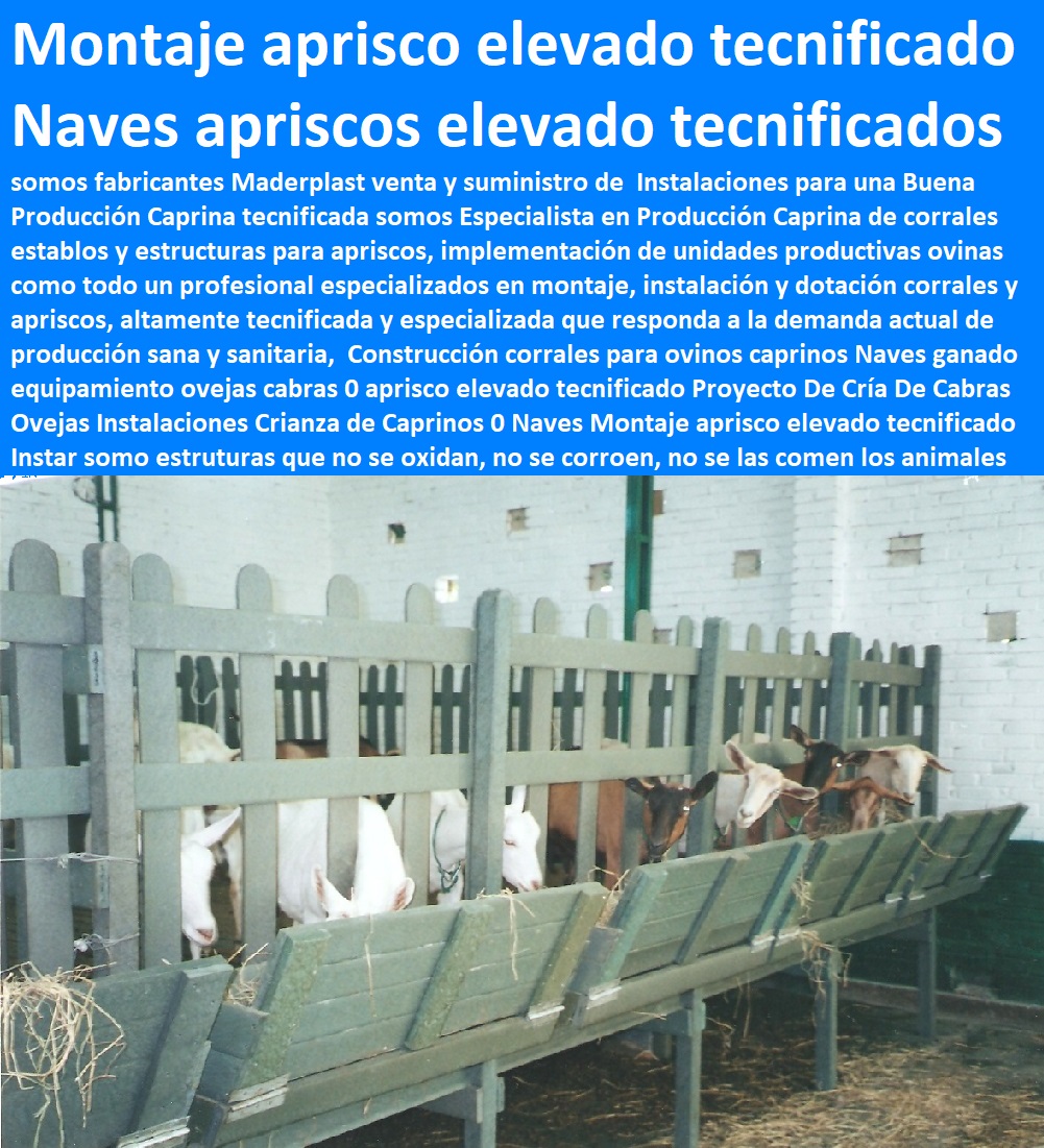 Construcción corrales para ovinos caprinos Naves ganado equipamiento ovejas cabras 0 corral de cabras apriscos corrales para caprinos estabulación ovejas cabras cabritos borregos chivos chivas, corralejas elevadas, apriscos estabulación de caprinos. planos de apriscos para cabras, establo para cabras, diseño de corrales para cabras, proyecto cabras lecheras en corral, corrales para cabras lecheras, aprisco elevado tecnificado Proyecto De Cría De Cabras Ovejas Instalaciones Crianza de Caprinos 0 Naves Montaje aprisco elevado tecnificado Instar Construcción corrales para ovinos caprinos Naves ganado equipamiento ovejas cabras 0 aprisco elevado tecnificado Proyecto De Cría De Cabras Ovejas Instalaciones Crianza de Caprinos 0 Naves Montaje aprisco elevado tecnificado Instar